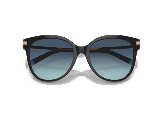 26FW 티파니앤코 선글라스 0TF4193B BLACK - TIFFANY & CO