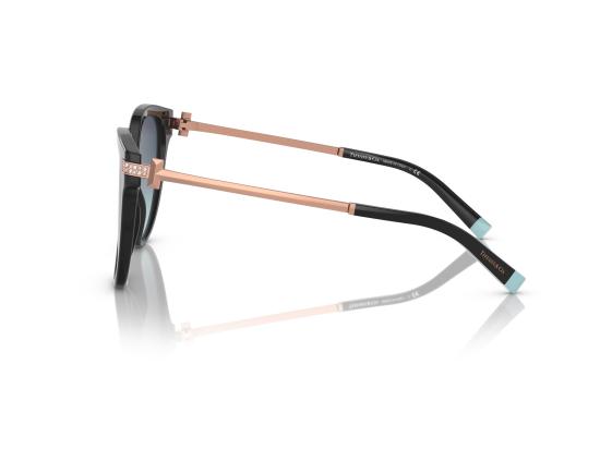 26FW 티파니앤코 선글라스 0TF4193B BLACK - TIFFANY & CO