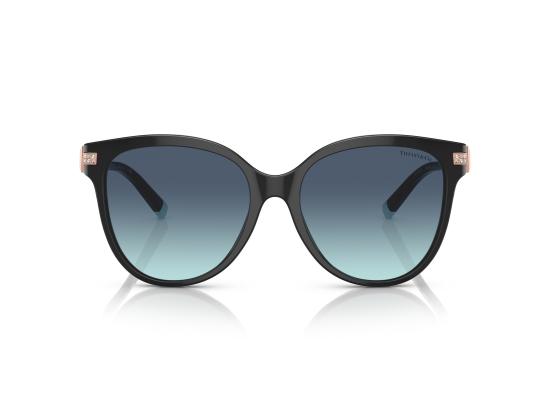 26FW 티파니앤코 선글라스 0TF4193B BLACK - TIFFANY & CO