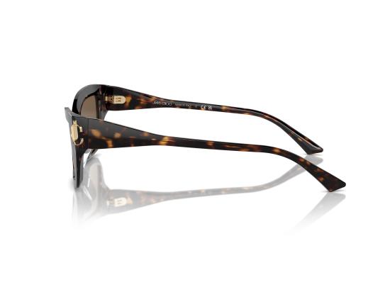26FW 지미추 선글라스 0JC5011U BROWN - JIMMY CHOO