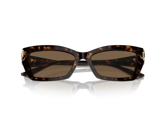 26FW 지미추 선글라스 0JC5011U BROWN - JIMMY CHOO