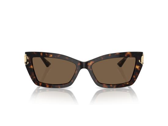 26FW 지미추 선글라스 0JC5011U BROWN - JIMMY CHOO