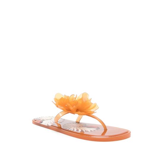 26SS 팜 리오 샌들 354785 26160 ORANGE - FARM RIO