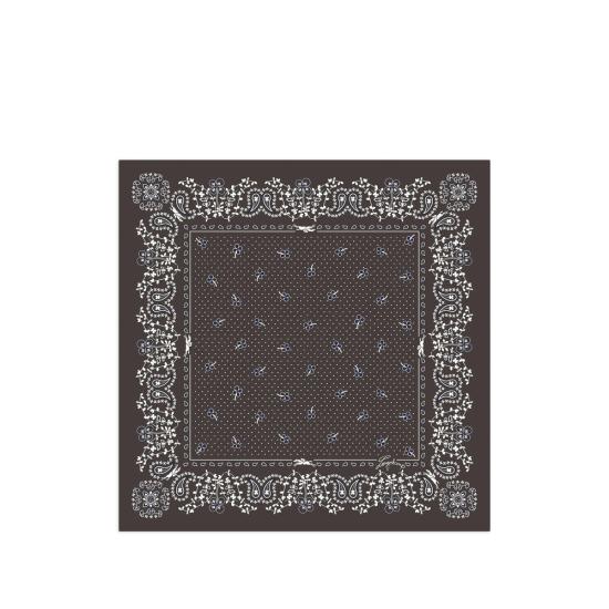 26FW 롱샴 머플러/스카프 50657GSO 002 BROWN