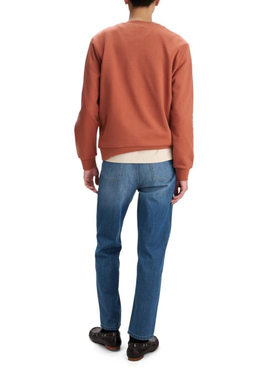26FW 아페쎄 스탠다드 그랜드 VPC 스웨트 셔츠 COHBNM27907ECRU CHINE MARRON Brown - A.P.C.