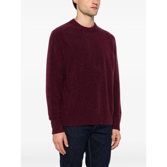 26FW Anips 니트웨어 F26K33 BURGU PURPLE - OTHER BRANDS