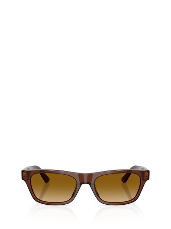 26FW 폴로 랄프로렌 선글라스 PH4238U 63532L SHINY TRANSPARENT BROWN