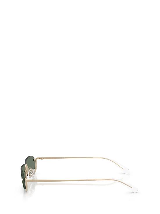 26FW 알마니 선글라스 AX2058S 612171 MATTE PALE GOLD - ARMANI
