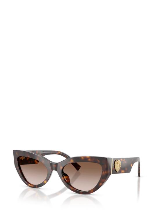 26FW 돌체앤가바나 선글라스 DG4536 502 13 HAVANA - DOLCE & GABBANA