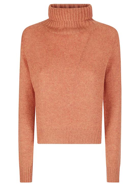 26FW 비유 후드 티셔츠 CD4010F6 700 BURNT ORANGE