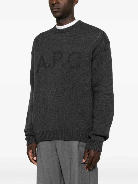 26FW 아페쎄 스웨터 WOATJH23506PLC GREY - A.P.C.