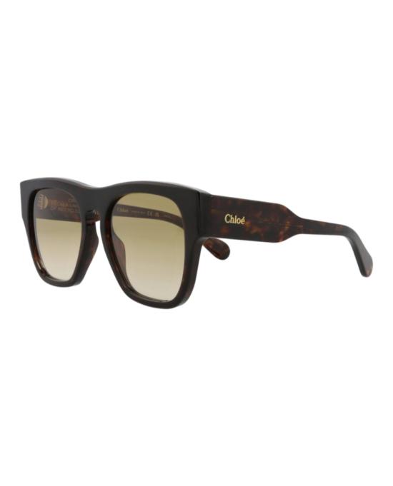  끌로에 선글라스 CH0149S 30014076 002 20355 NS Brown - CHLOE