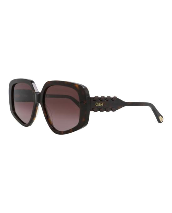  끌로에 선글라스 CH0210S 30014661 002 20955 NS Brown - CHLOE
