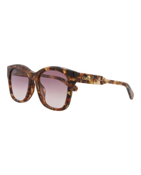  끌로에 선글라스 CH0194SK 30014684 003 20955 NS Brown - CHLOE