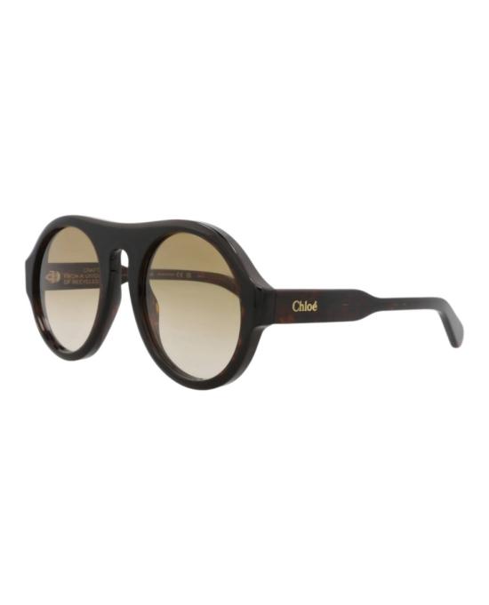  끌로에 선글라스 CH0151S 30014077 002 20355 NS Brown - CHLOE