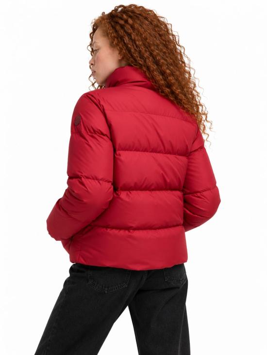 26FW 몽클레어 비반테스 쇼트 다운 재킷 비반테스 쇼트 다운 재킷 L20931A00261597YW 462 - MONCLER