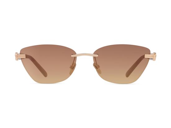 26FW 프레드 선글라스 FG40099U GOLD - FRED