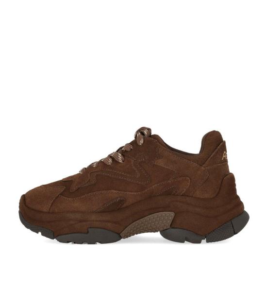 26FW 아쉬 스니커즈 F26 ADDICTBIS01 37 Brown - ASH