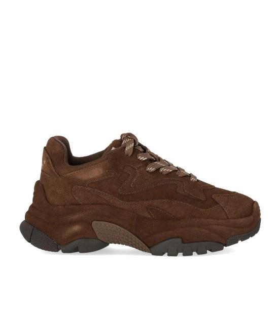 26FW 아쉬 스니커즈 F26 ADDICTBIS01 37 Brown