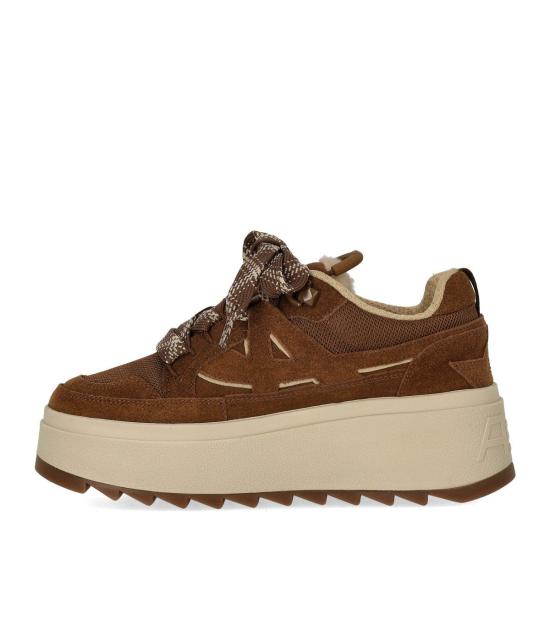 26FW 아쉬 스니커즈 F26 MOVIE02 36 Brown - ASH