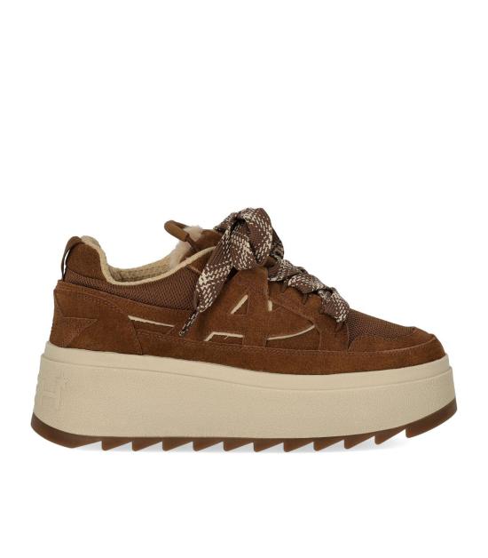 26FW 아쉬 스니커즈 F26 MOVIE02 36 Brown