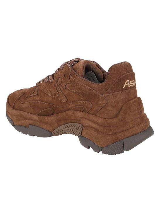 26FW 아쉬 어딕트 스니커즈 ADDICTBIS01 Brown - ASH