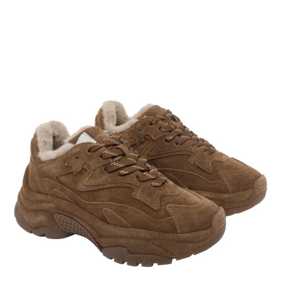26FW 아쉬 어딕트 스니커즈 ADDICT BISFR2 BROWN - ASH