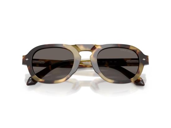 26FW 조르지오 아르마니 선글라스 호피무늬 0Ar8244 기하학적 - GIORGIO ARMANI