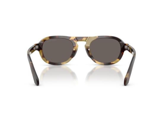26FW 조르지오 아르마니 선글라스 호피무늬 0Ar8244 기하학적 - GIORGIO ARMANI