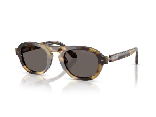 26FW 조르지오 아르마니 선글라스 호피무늬 0Ar8244 기하학적 - GIORGIO ARMANI