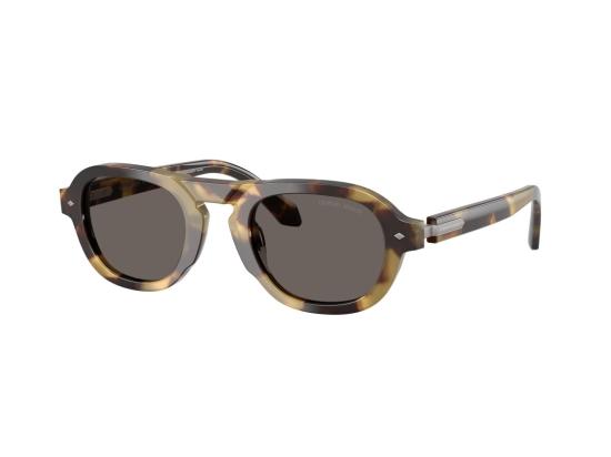 26FW 조르지오 아르마니 선글라스 호피무늬 0Ar8244 기하학적 - GIORGIO ARMANI