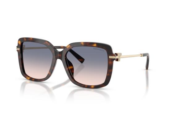 26FW 티파니앤코 선글라스 호피무늬 0Tf4252b 아세테이트 오버사이즈 스퀘어 - TIFFANY & CO