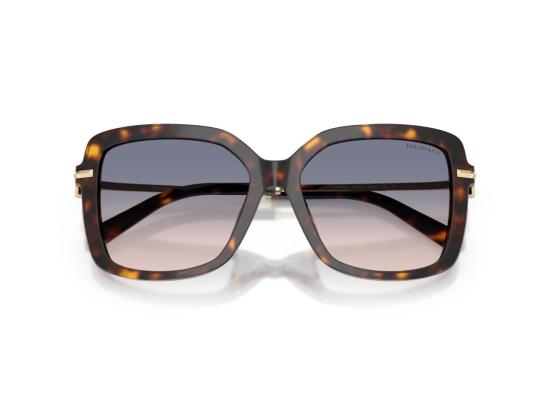 26FW 티파니앤코 선글라스 호피무늬 0Tf4252b 아세테이트 오버사이즈 스퀘어 - TIFFANY & CO