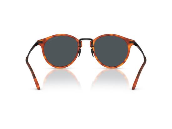 26FW 조르지오 아르마니 선글라스 블랙 0Ar8250 호피무늬 원형 - GIORGIO ARMANI