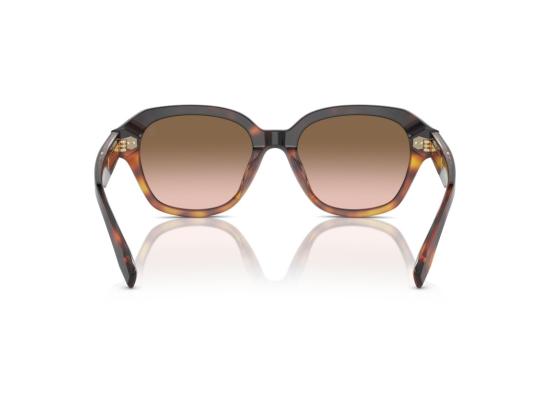 26FW 브루넬로 쿠치넬리 선글라스 골드 0BC4004S 호피무늬 아세테이트 오버사이즈 스퀘어 - BRUNELLO CUCINELLI