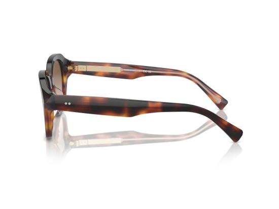 26FW 브루넬로 쿠치넬리 선글라스 골드 0BC4004S 호피무늬 아세테이트 오버사이즈 스퀘어 - BRUNELLO CUCINELLI