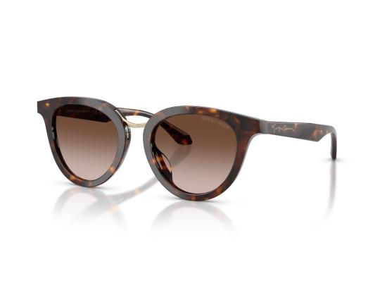 26FW 조르지오 아르마니 선글라스 골드 0Ar8252u 호피무늬 캣아이 - GIORGIO ARMANI