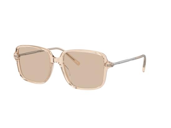 26FW 브루넬로 쿠치넬리 선글라스 0BC3001 반투명 아세테이트 오버사이즈 스퀘어 - BRUNELLO CUCINELLI