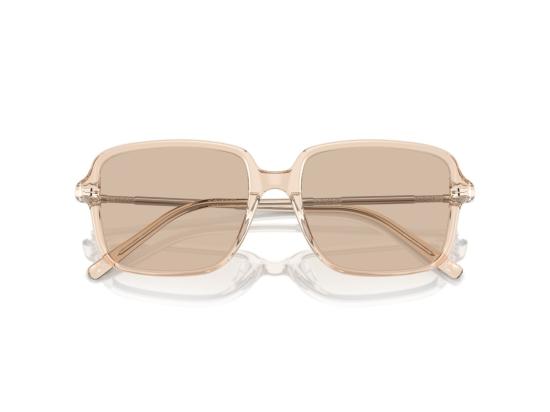 26FW 브루넬로 쿠치넬리 선글라스 0BC3001 반투명 아세테이트 오버사이즈 스퀘어 - BRUNELLO CUCINELLI