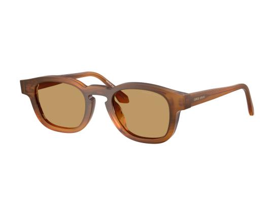 26FW 조르지오 아르마니 선글라스 브라운 0Ar8254u 반투명 아세테이트 스퀘어 - GIORGIO ARMANI