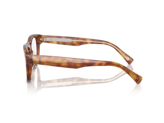 26FW 브루넬로 쿠치넬리 선글라스 호피무늬 0BC3005 아세테이트 오버사이즈 스퀘어 - BRUNELLO CUCINELLI