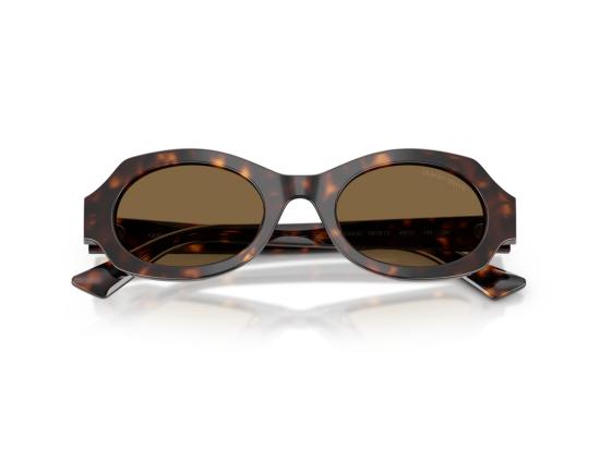 26FW 조르지오 아르마니 선글라스 0Ar8245hu 호피무늬 아세테이트 - GIORGIO ARMANI