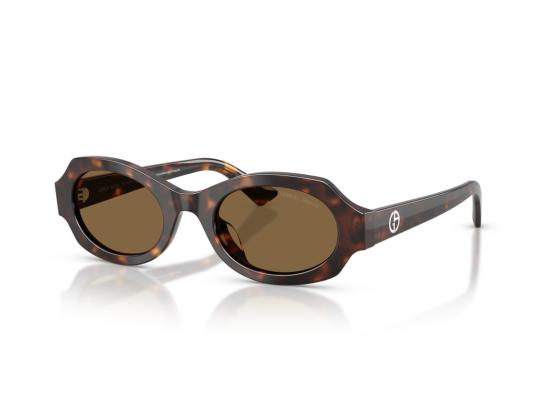 26FW 조르지오 아르마니 선글라스 0Ar8245hu 호피무늬 아세테이트 - GIORGIO ARMANI