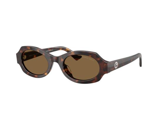 26FW 조르지오 아르마니 선글라스 0Ar8245hu 호피무늬 아세테이트 - GIORGIO ARMANI
