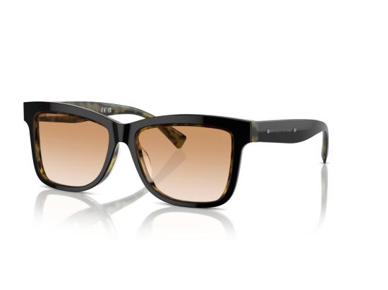 26SS 브루넬로 쿠치넬리 선글라스 브라운 0BC4009S 그라데이션 오버사이즈 스퀘어 - BRUNELLO CUCINELLI