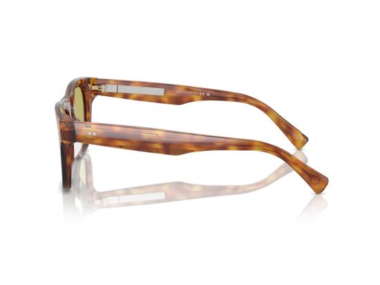 26FW 브루넬로 쿠치넬리 선글라스 호피무늬 0BC4002S 볼드 스퀘어 - BRUNELLO CUCINELLI