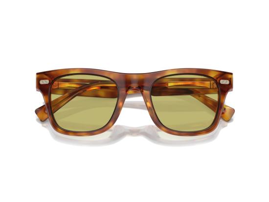 26FW 브루넬로 쿠치넬리 선글라스 호피무늬 0BC4002S 볼드 스퀘어 - BRUNELLO CUCINELLI
