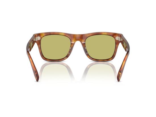 26FW 브루넬로 쿠치넬리 선글라스 호피무늬 0BC4002S 볼드 스퀘어 - BRUNELLO CUCINELLI