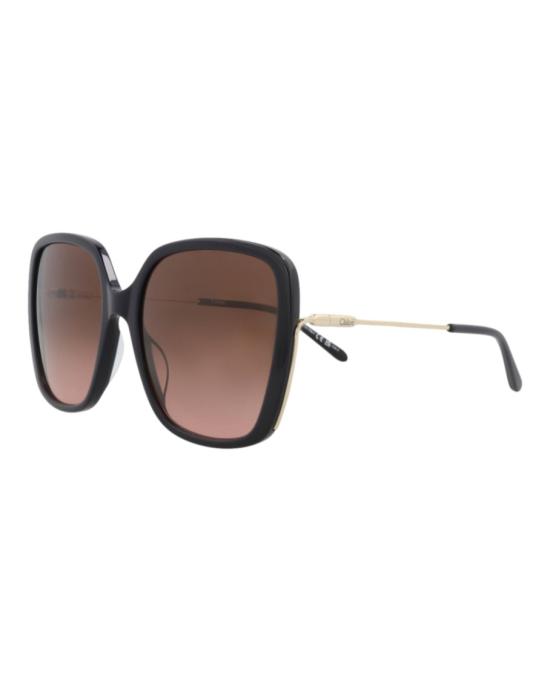  끌로에 선글라스 CH0173S 30014100 006 40406 NS Brown - CHLOE