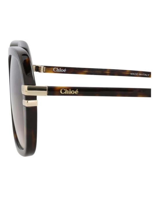  끌로에 선글라스 CH0204S 30014691 002 20355 NS Brown - CHLOE
